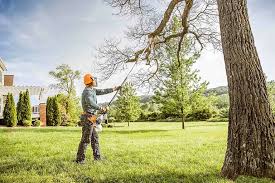 How Our Tree Care Process Works  in  Richmond, TX