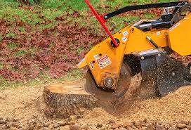 Best Emergency Tree Removal  in Richmond, TX